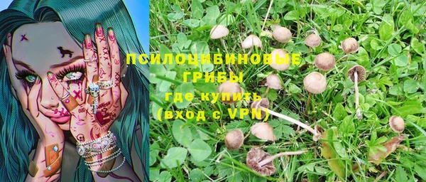 твердый Нефтекумск