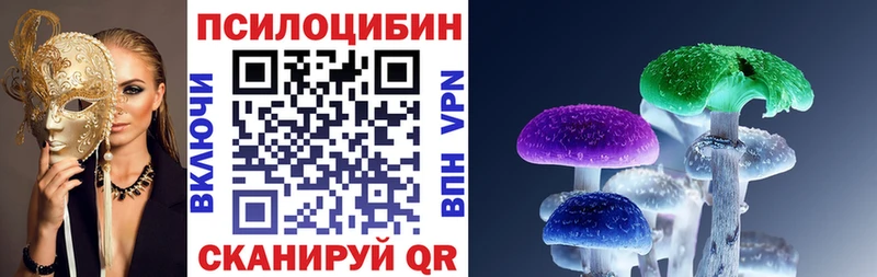купить наркотики сайты  Новокузнецк  Галлюциногенные грибы MAGIC MUSHROOMS 