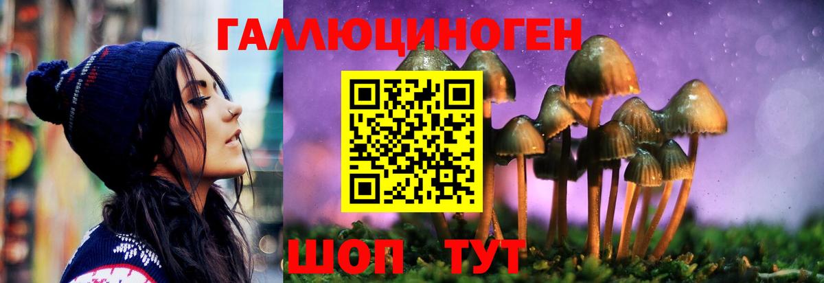 Галлюциногенные грибы Psilocybe  Вход с VPN  Новокузнецк 